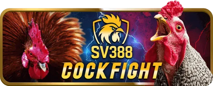 Chương trình VIP và thưởng sinh nhật TC88 App